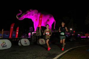 BIB: 
                            <button type="button" onclick="openModal(26534563)" class="btn btn-primary btn-sm float-right btn-popup" data-toggle="modal" data-target=".modal-high-quality">
                        <i class="fas fa-shopping-cart"></i> Add to Cart
                    </button>
                                            <button type="button" onclick="isThisMe(26534563, true)" class="btn btn-success btn-sm float-right btn-popup btn-isme hidden" data-toggle="tooltip" data-placement="bottom" title="นี่คือรูปของคุณใช่ไหม คลิกที่นี่เพื่อเอาเข้าอัลบั้ม">
                        <i class="fas fa-plus"></i> Add to album
                    </button>
                    <button type="button" onclick="isThisMe(26534563, false)" class="btn btn-warning btn-sm float-right btn-popup btn-isnotme hidden">
                        <i class="fas fa-ban"></i> Remove from album
                    </button>